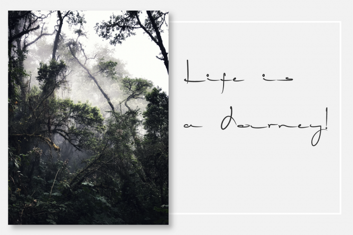 Tingkerbella font插图3