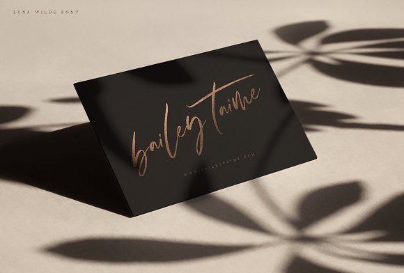 Luna Wilde Hand Lettered Font插图2