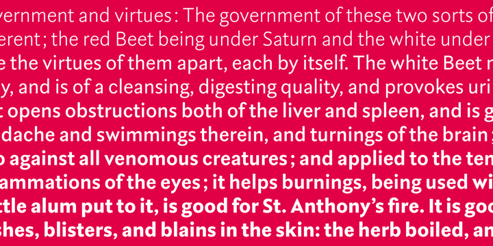 Rubiesque Font Family插图5