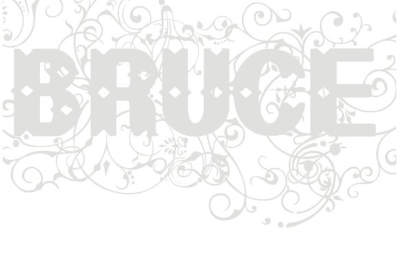 Bruce Flourished Font插图2