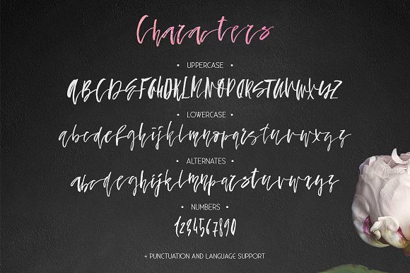 CM – Fallen Angel – Calligraphic Font插图2