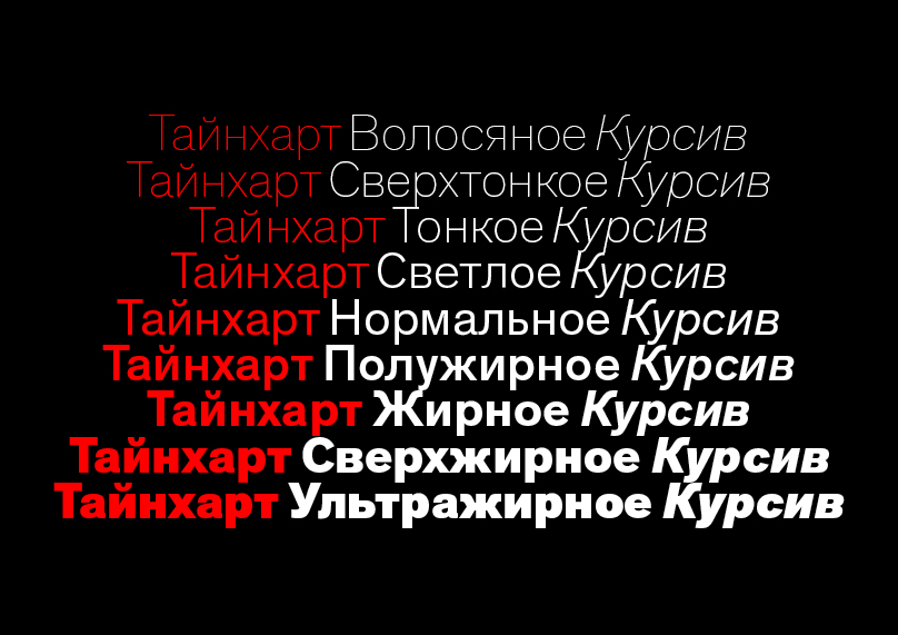 Theinhardt Pan Font Family插图6