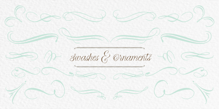 La Bodeguita Font Family插图5