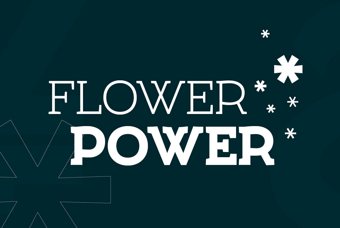 Umba Slab Font Family插图1