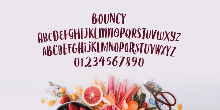 Le Gourmet Font Family插图2