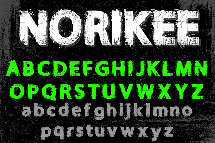 NORIKEE DEMO font插图