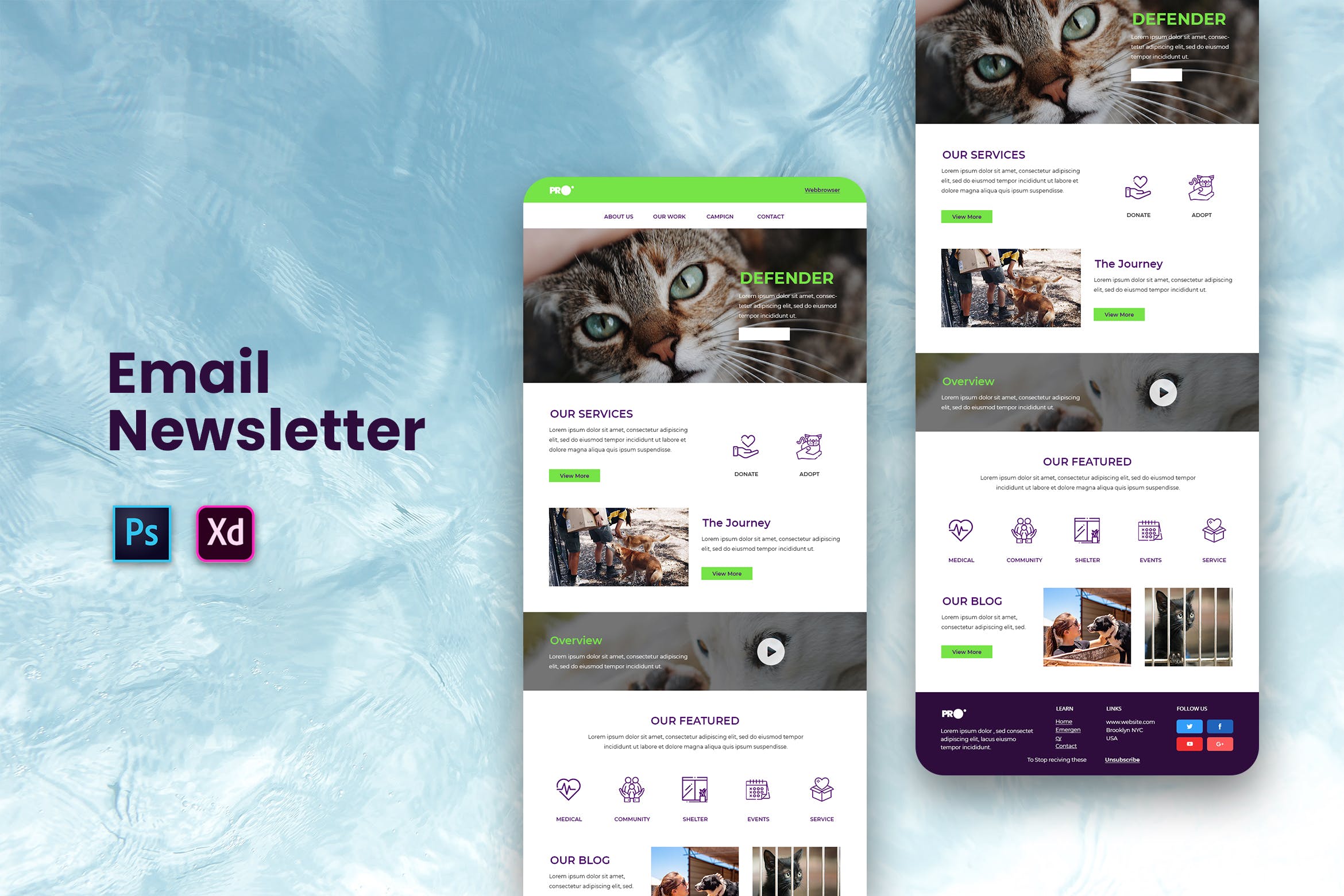 宠物服务公司推广EDM邮件模板素材库精选下载 Email Newsletter插图