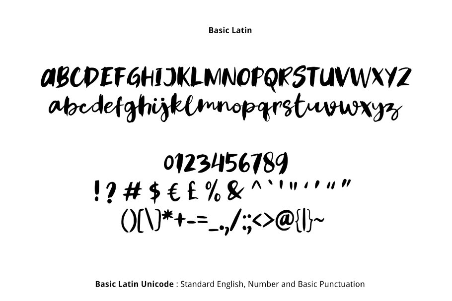 Rainy Day Brush Font插图1