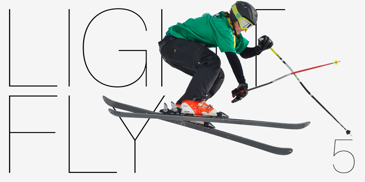 Shapiro Font Family插图2