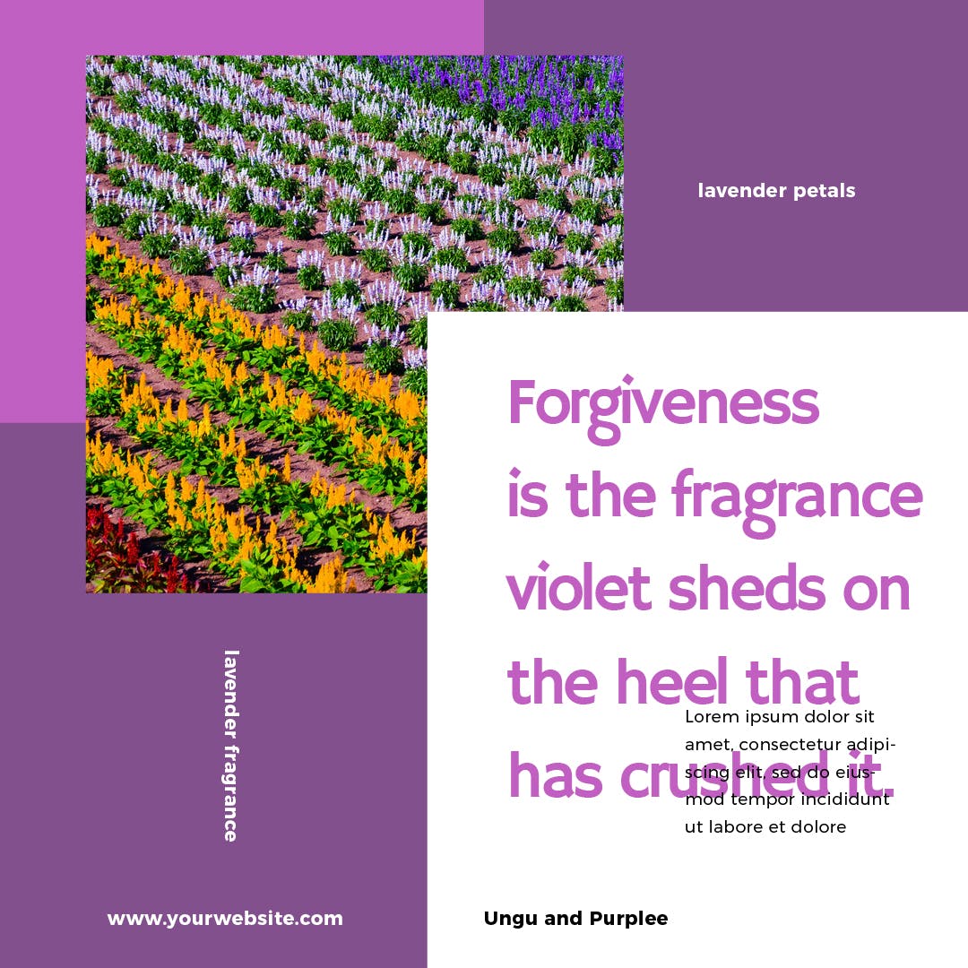 薰衣草配色社交媒体广告Banner图设计模板素材库精选 Lavender Social Media Banners插图(5)