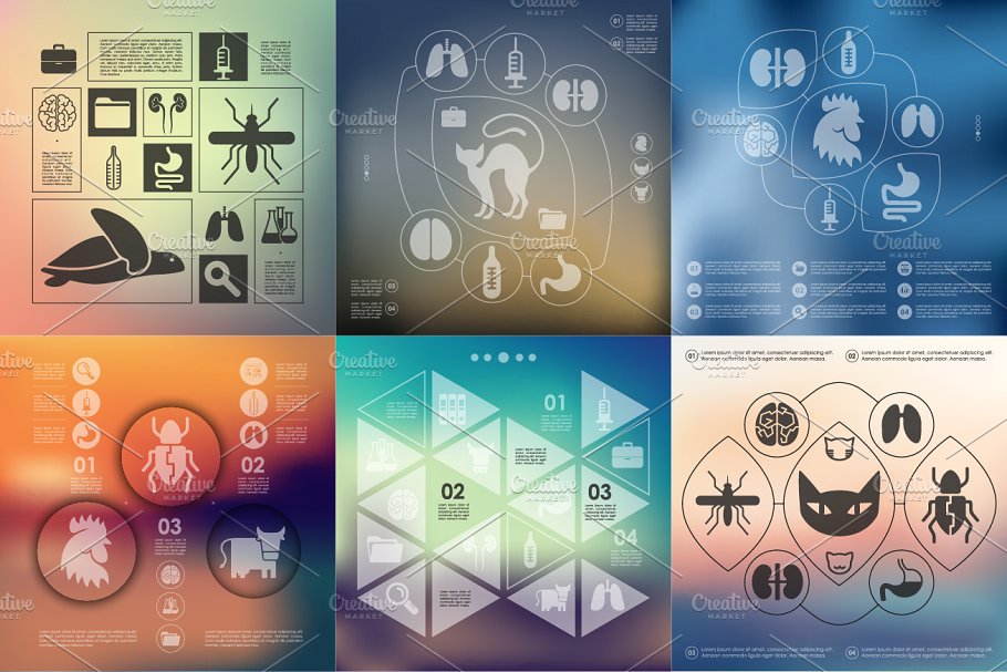 9个兽医/生物科技信息图 9 veterinary infographic插图(3)