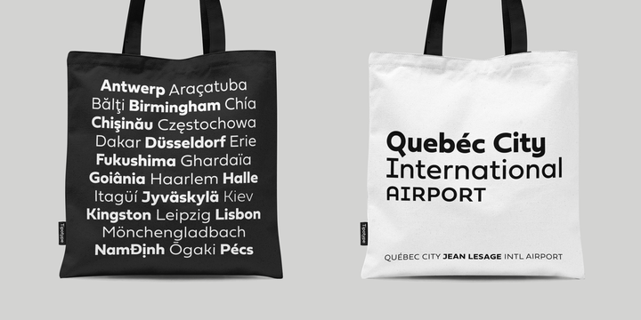 Fieldwork Font Family插图5