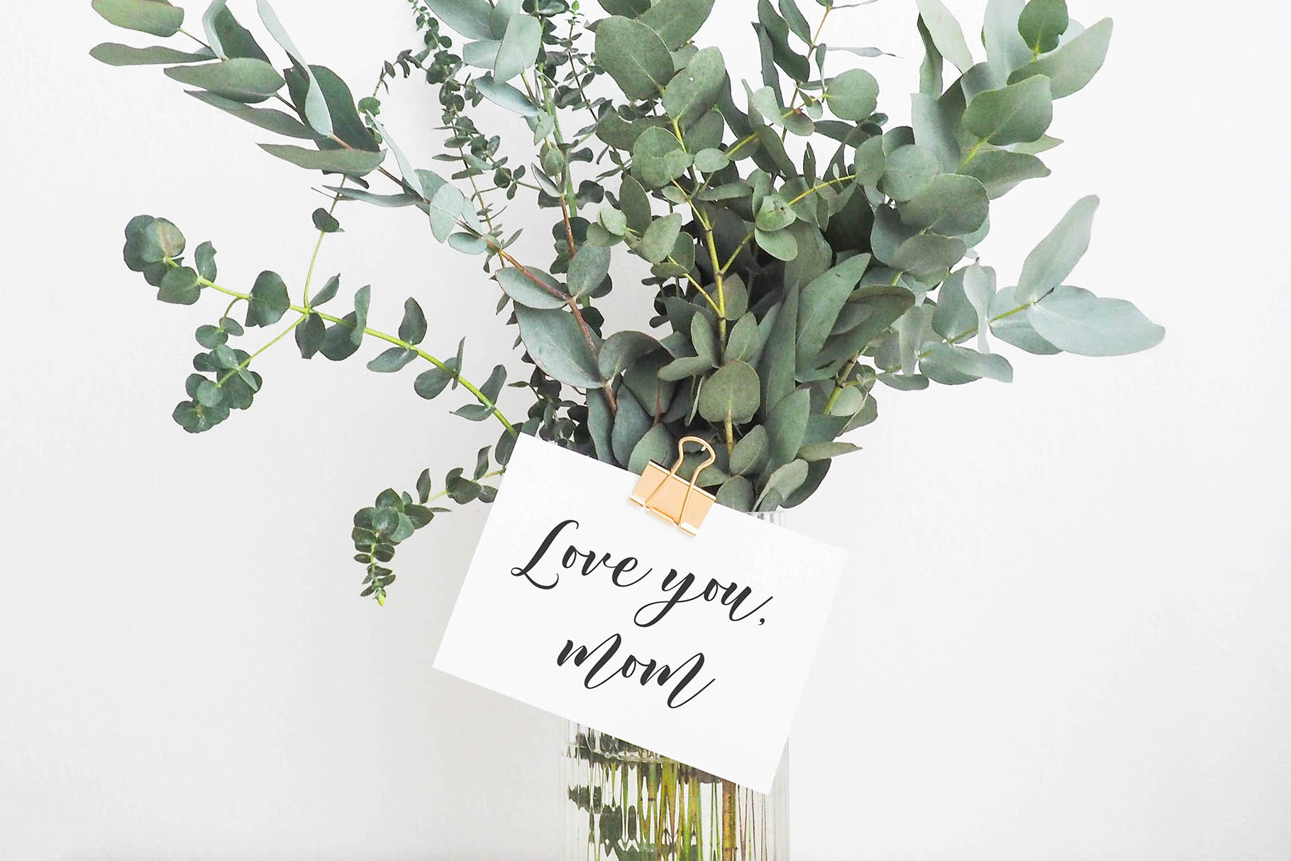 Serafina Font插图3