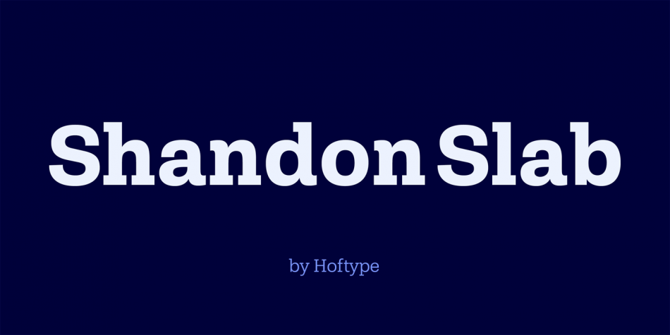 Shandon Slab Font Family插图1