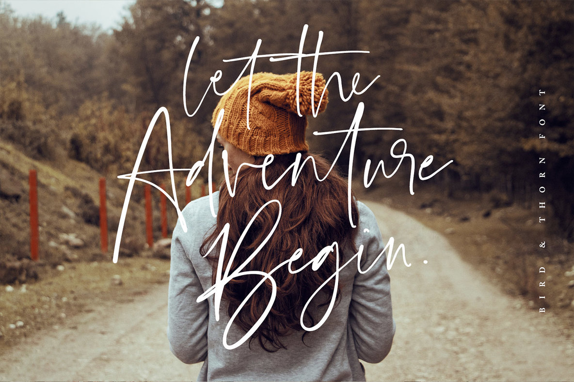 Bird And Thorn Font插图5