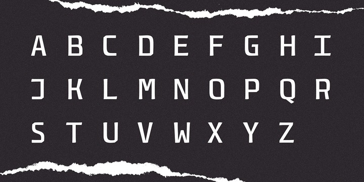 Monogamma Font Family插图1