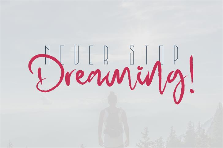 MadHouse Sanslight font插图3