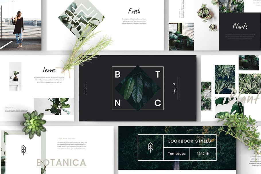 Lookbook风格植物主题Powerpoint模板 FYLORA Lookbook Powerpoint Template插图