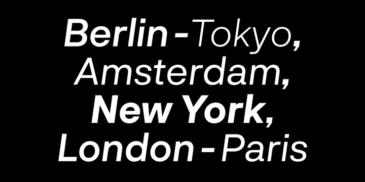 Neurial Grotesk Font Family插图5