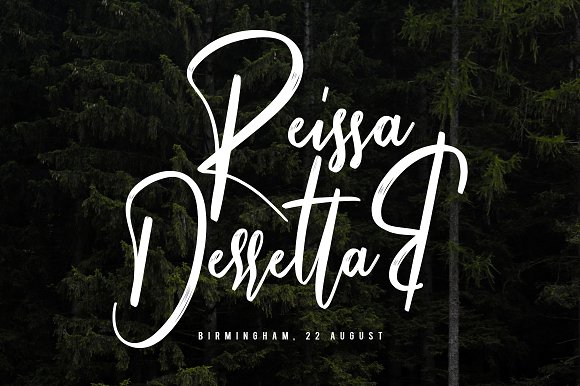 Strollers Font插图5