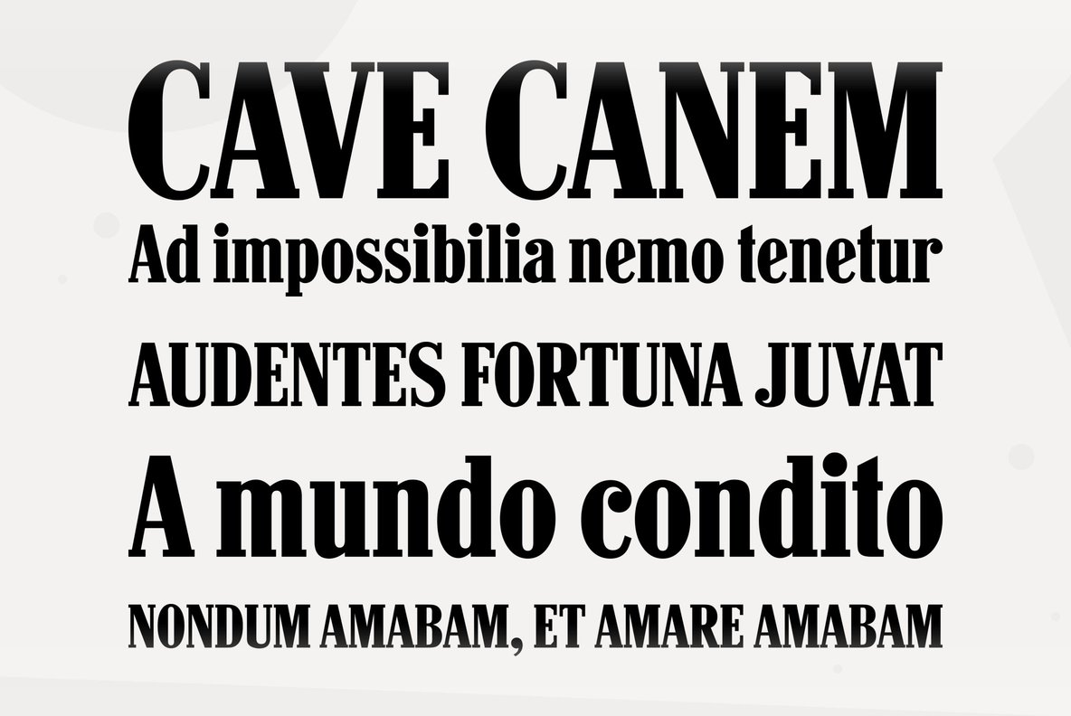 Hancock Bold Condensed Font插图1