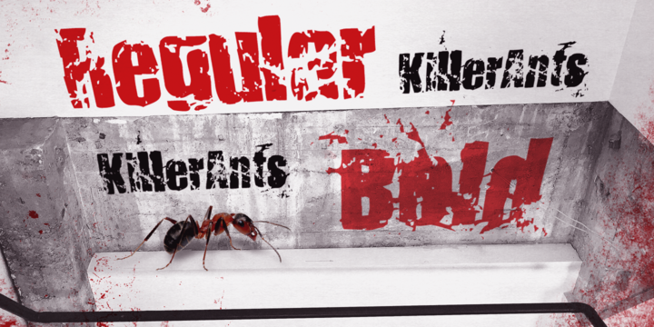 Killer Ants Font Family插图2