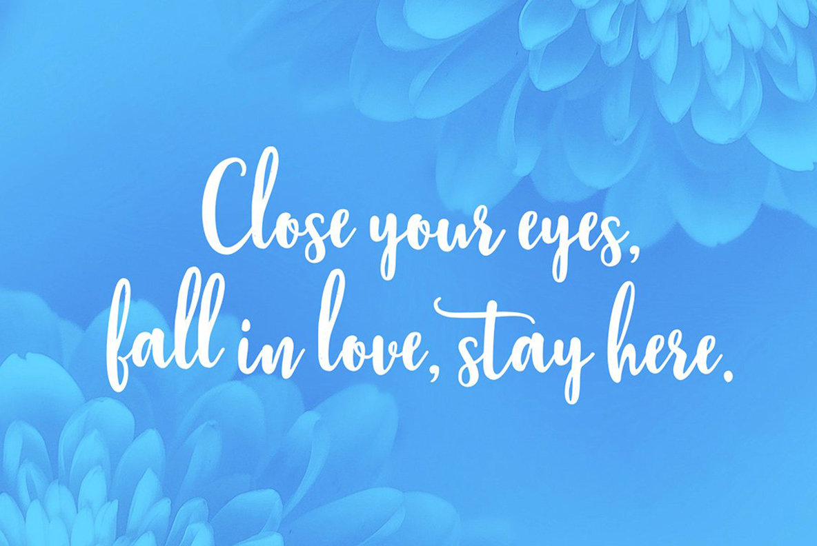 Stephanie Font插图5