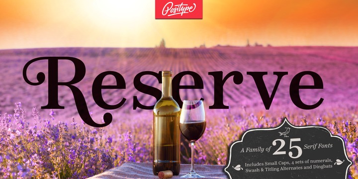 Reserve Font Family插图