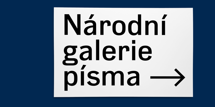 Slavia Font Family插图2