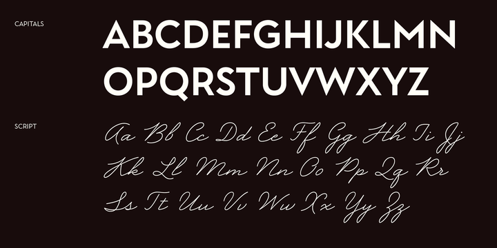 Garnet Font Family插图4