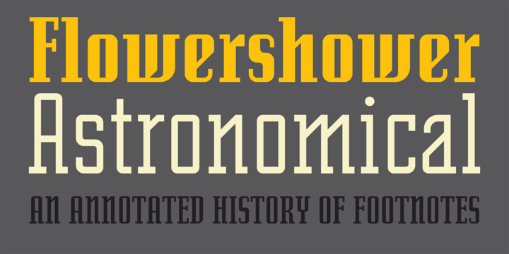 Senator Font Family插图3