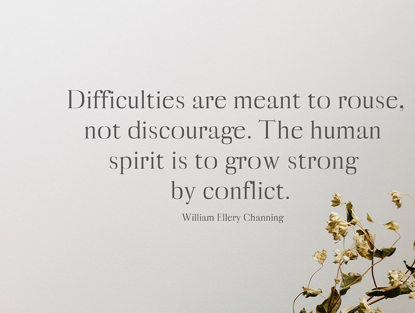 素材库下午茶：漂亮时尚的衬线字体下载[otf,ttf]