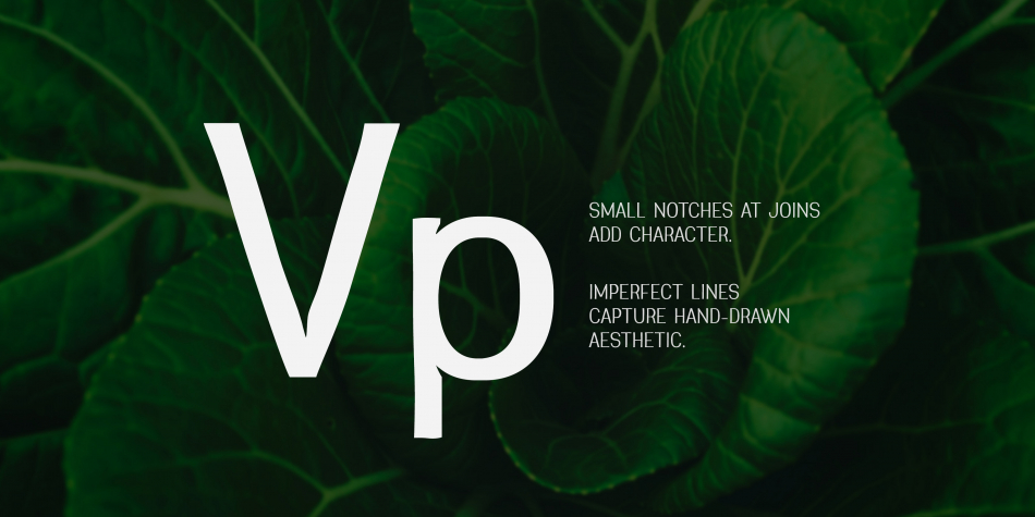 Greenstyle Font Family插图