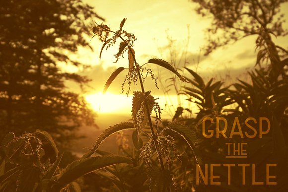 Brooklyn Typeface插图2