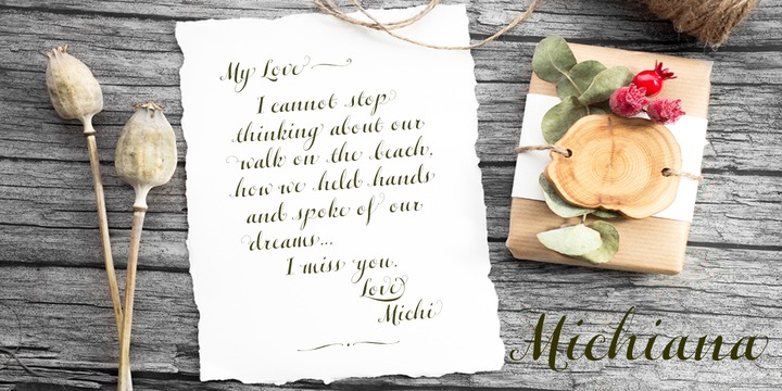 Michiana Pro Font插图2