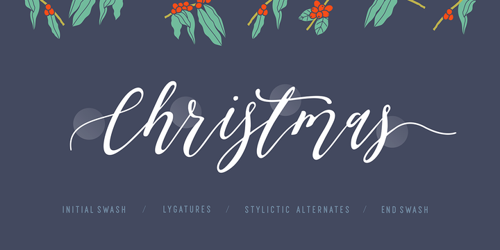 Olis Font Family插图2