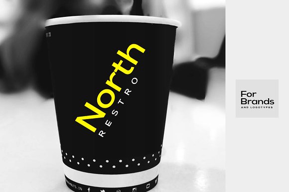 CreativeMarket SIEGNER – Modern Typeface + WebFont插图5