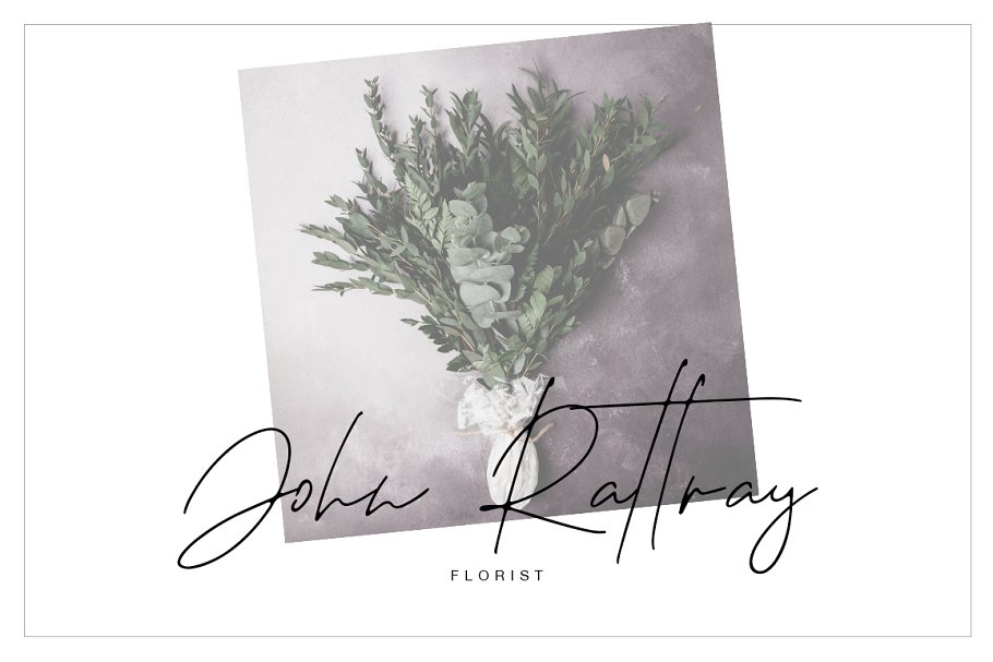 Marcello Font插图1