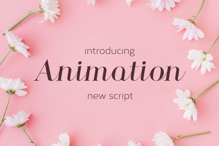 Fontbundles – Animation插图