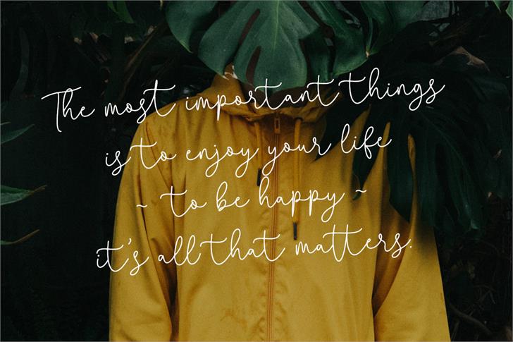 Questa Whitte font插图4