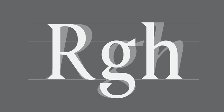 Haggard Nova Font Family插图1