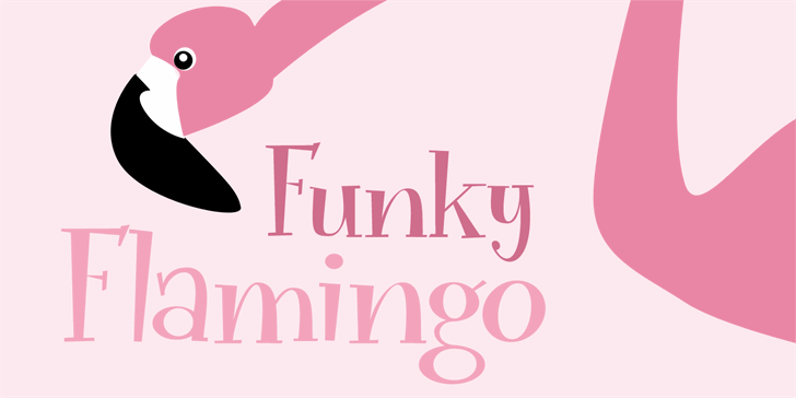 Funky Flamingo DEMO font插图 Funky Flamingo DEMO font插图