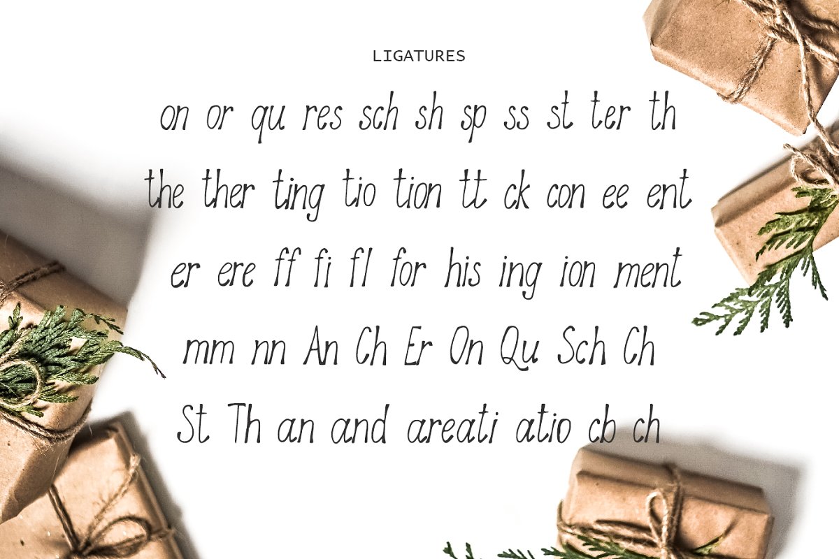 Astrantia Font插图2