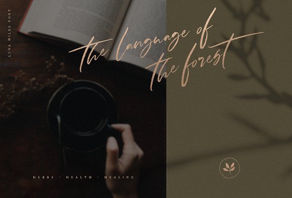 Luna Wilde Hand Lettered Font插图3