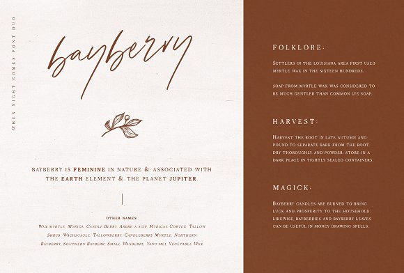 When Night Comes Font Collection插图2