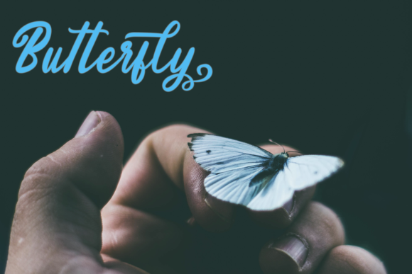 Endolitta Font插图1