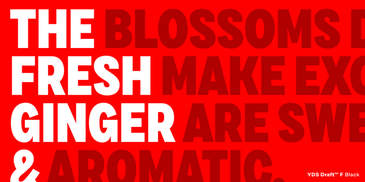 Draft Font Family插图2