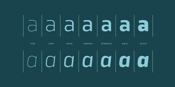 TCF Noli Font Family插图1