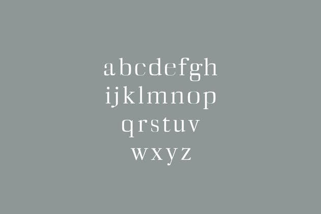 Diedra衬线字体系列字体家族 Diedra Serif Font Family Pack插图(2)