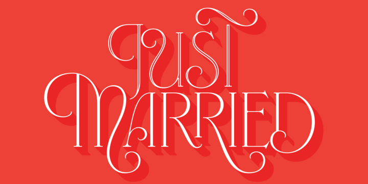 Fleur Typeface插图